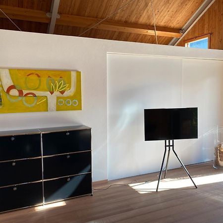 Ferienhaus Sonnenchalet Bodman-Ludwigshafen Buitenkant foto